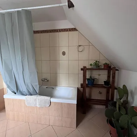 Agroturystyka U Rodaka Michalkowa