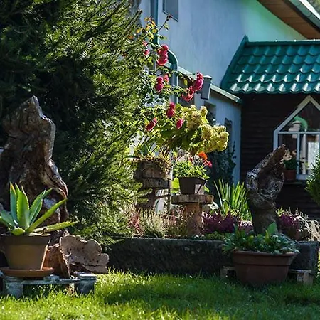 Agroturystyka U Rodaka *